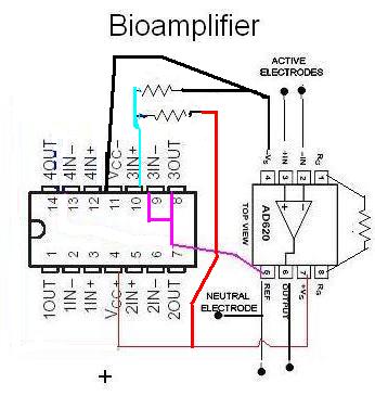Bioamplifier102.jpg